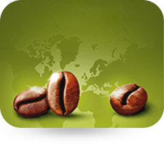เมล็ดกาแฟจากแหล่งเพาะปลูกระดับโลก