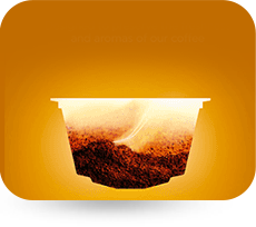 แคปซูลอัจฉริยะ